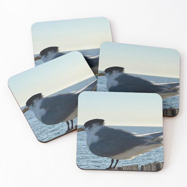 Item preview, Greater Crested Tern designed and sold by Kymbo.