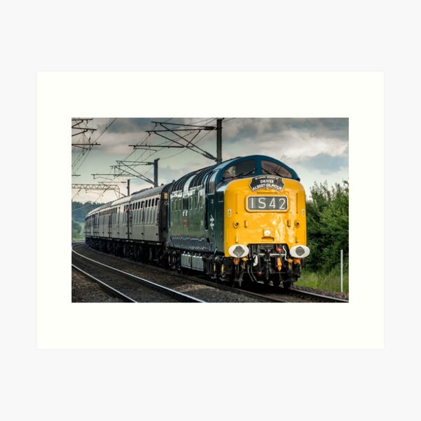 D9009 "Alycidon" Art Print