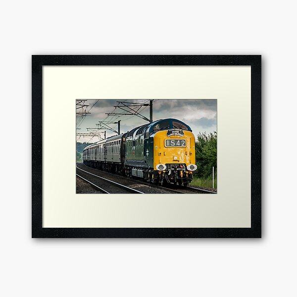 D9009 "Alycidon" Framed Art Print