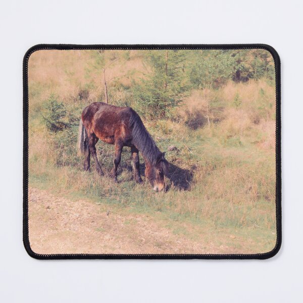 Item preview, Forest Pony designed and sold by Tanya C  Smith.