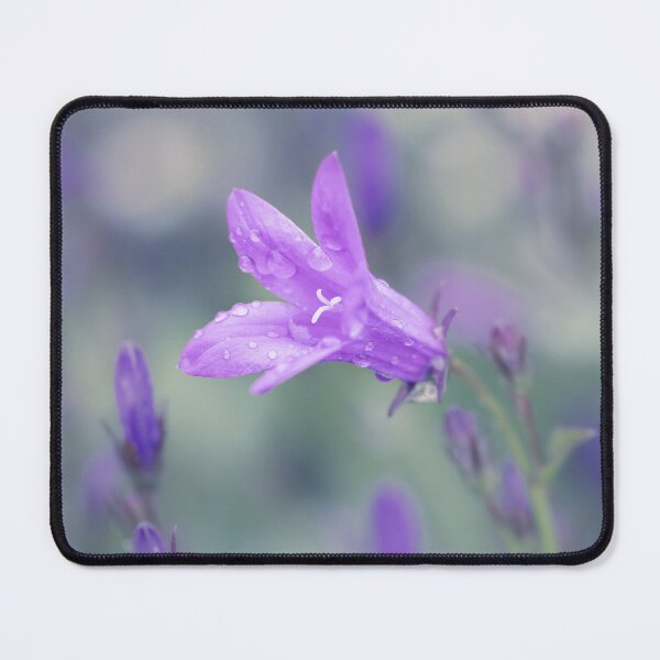 Item preview, Purple Bellflower #1 designed and sold by Tanya C  Smith.