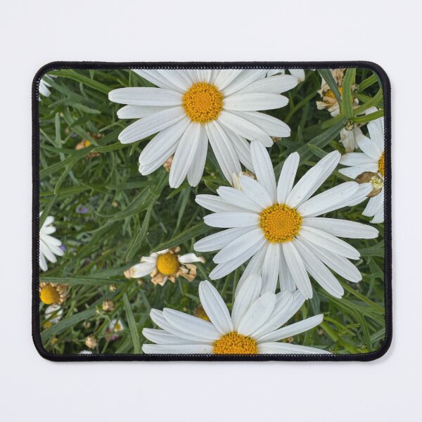 Item preview, White flowers blooms  designed and sold by Rhiwii.