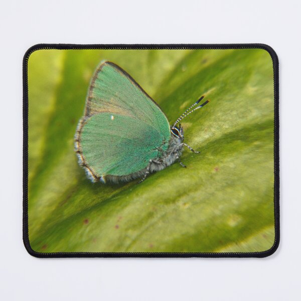 Item preview, The green hairstreak butterfly designed and sold by Mikko  Suhonen.