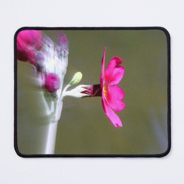 Item preview, Pink flower moving at speed designed and sold by jeffborrer.