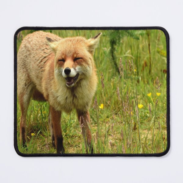 Item preview, The laughing fox designed and sold by jeffborrer.