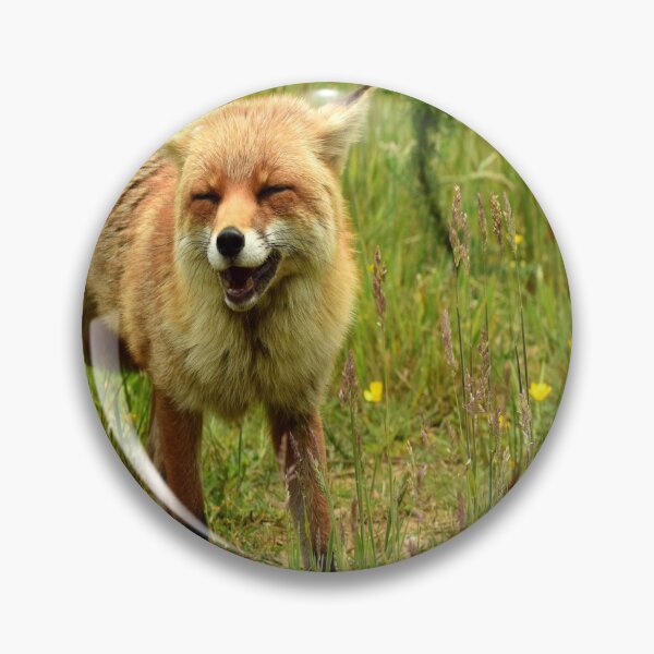Item preview, The laughing fox designed and sold by jeffborrer.