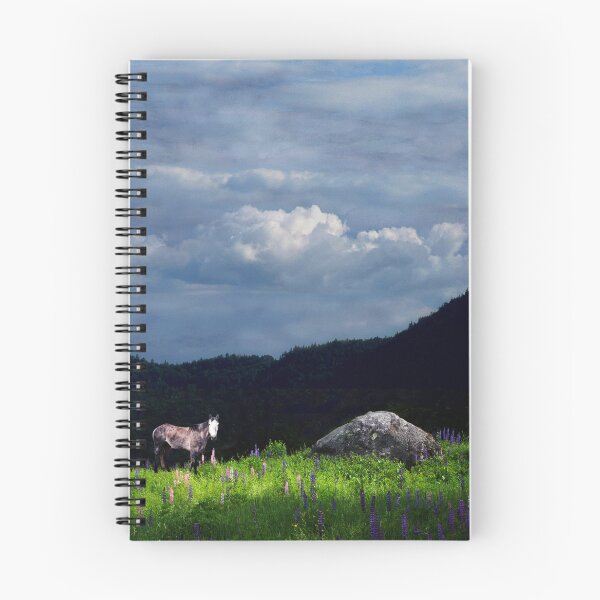 Item preview, Spirit Pony in Boulder Field designed and sold by Wayne King.