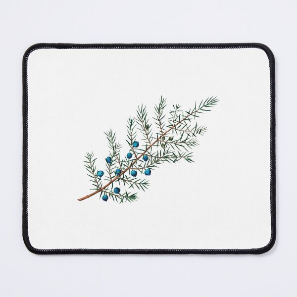 Item preview, Vintage Style Juniper Branch with Berries designed and sold by Jason Gunti.