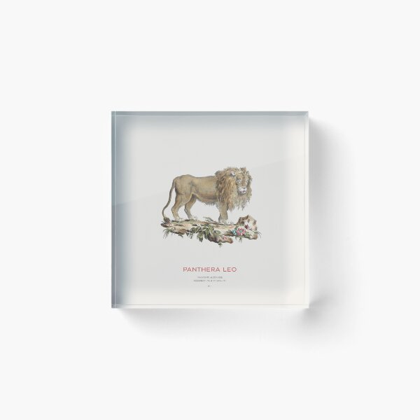 Item preview, Lion Vintage Scientific Illustration designed and sold by Vintagrafica.