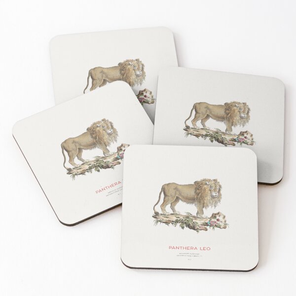 Item preview, Lion Vintage Scientific Illustration designed and sold by Vintagrafica.