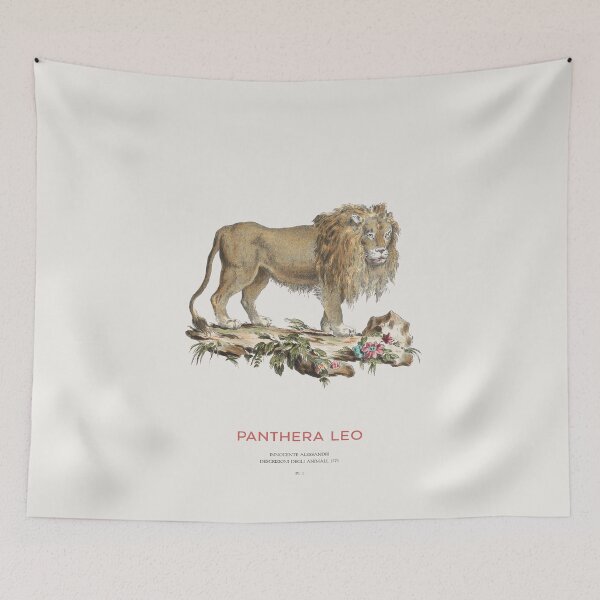 Item preview, Lion Vintage Scientific Illustration designed and sold by Vintagrafica.