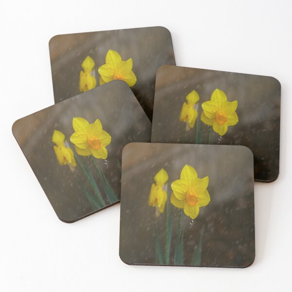 Item preview, Yellow Daffodil designed and sold by KoalaTeaPhotogr.