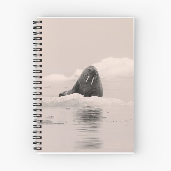 Item preview, walrus -  time out on the ice  designed and sold by Bernie Rosser.