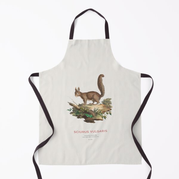 Item preview, Red Squirrel Study Art designed and sold by Vintagrafica.