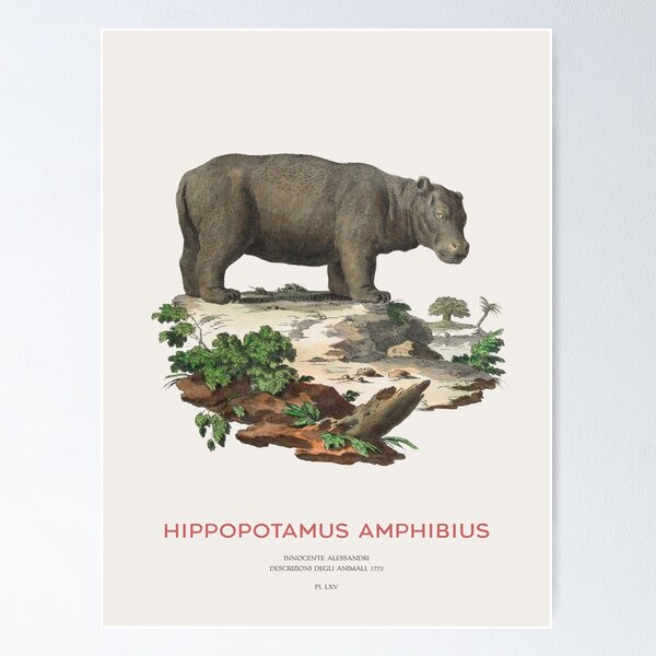Item preview, Hippopotamus Minimalist Engraving designed and sold by Vintagrafica.
