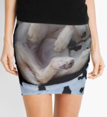 Cozy Mini Skirt