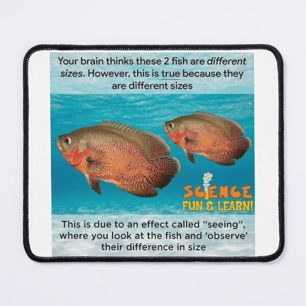 Item preview, Observe designed and sold by P34NUTXD.