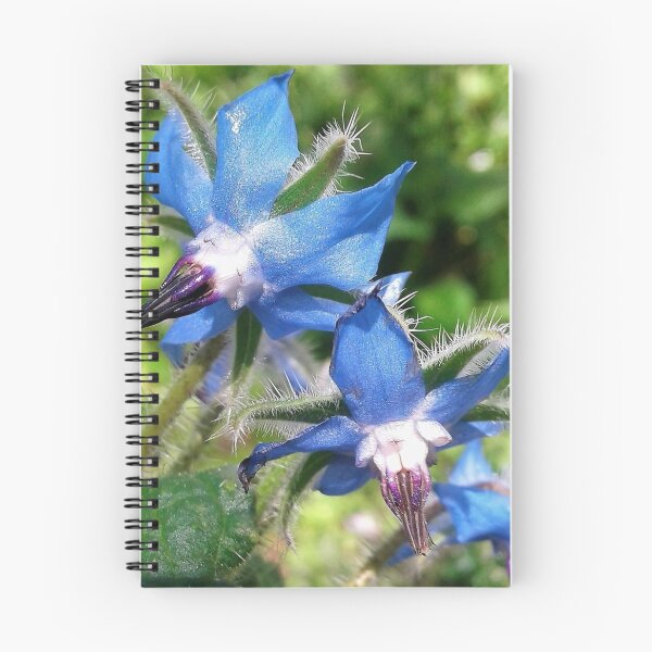Item preview, Borage designed and sold by Faerieglen.