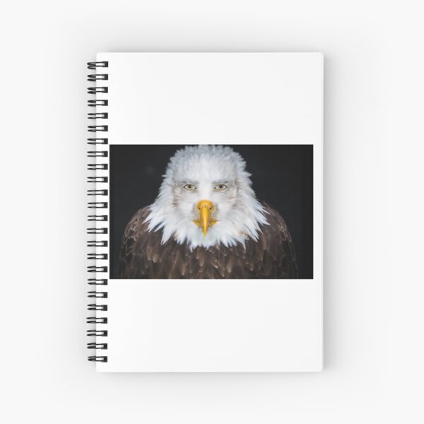 Item preview, Don't Look This Eagle In Its Eyes. designed and sold by chimorinx.