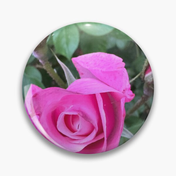 Item preview, Pink rose  designed and sold by Rhiwii.
