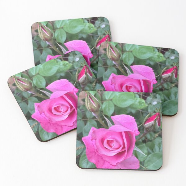 Item preview, Pink rose  designed and sold by Rhiwii.