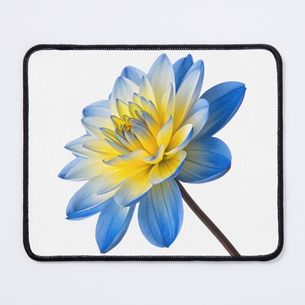 Item preview, blue and yellow flower designed and sold by DuskTillDown.