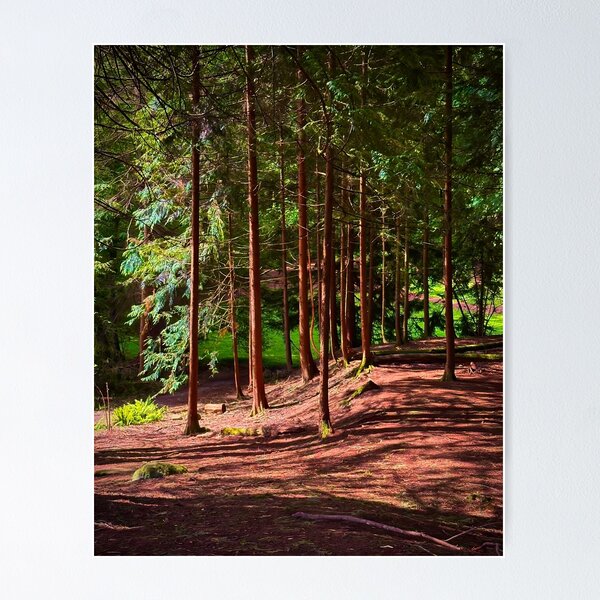 Item preview, Shadowlands designed and sold by Steve Walser.