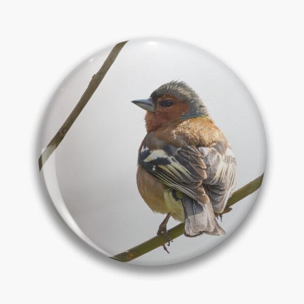 Item preview, Eurasian chaffinch spring feelings designed and sold by Jouko Lehto Photography.