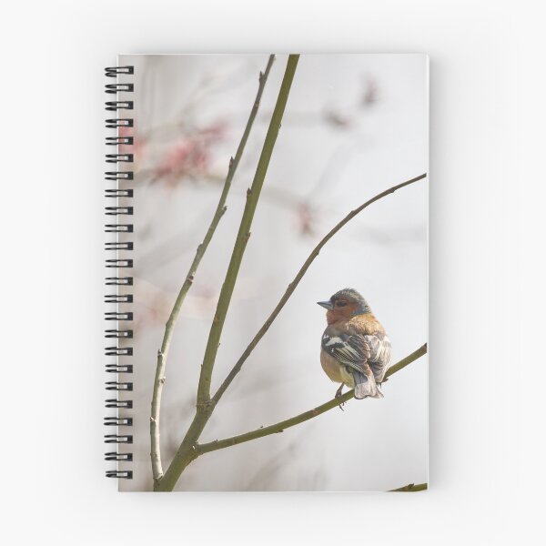 Item preview, Eurasian chaffinch spring feelings designed and sold by Jouko Lehto Photography.