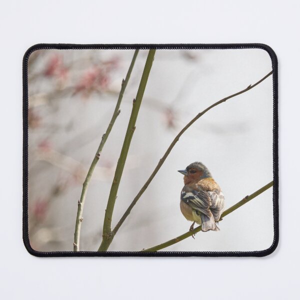 Item preview, Eurasian chaffinch spring feelings designed and sold by Jouko Lehto Photography.