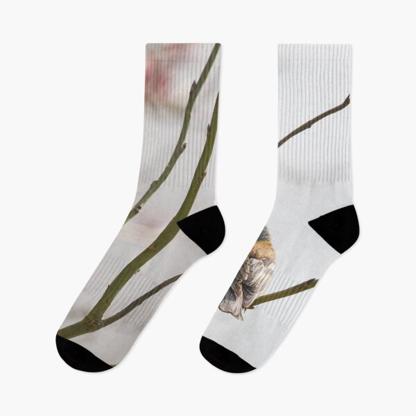 Item preview, Eurasian chaffinch spring feelings designed and sold by Jouko Lehto Photography.
