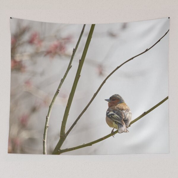 Item preview, Eurasian chaffinch spring feelings designed and sold by Jouko Lehto Photography.