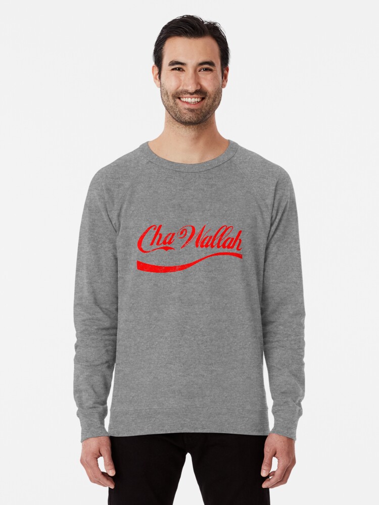 funny punjabi t shirts
