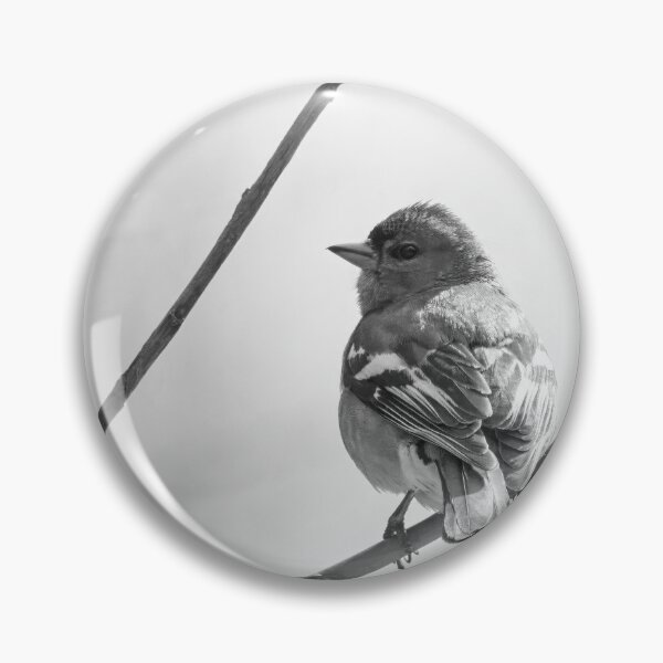 Item preview, Eurasian chaffinch spring feelings bw designed and sold by Jouko Lehto Photography.