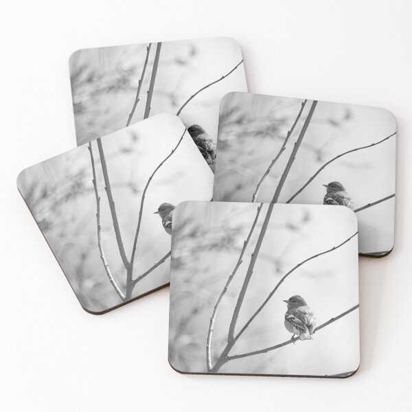 Item preview, Eurasian chaffinch spring feelings bw designed and sold by Jouko Lehto Photography.