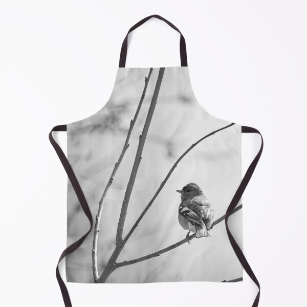 Item preview, Eurasian chaffinch spring feelings bw designed and sold by Jouko Lehto Photography.