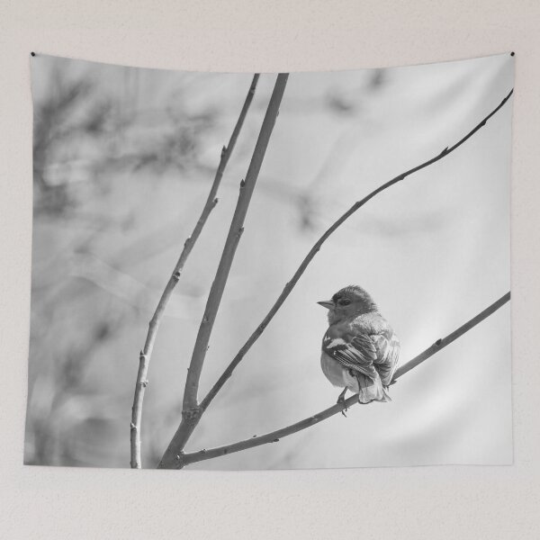 Item preview, Eurasian chaffinch spring feelings bw designed and sold by Jouko Lehto Photography.