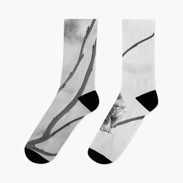 Item preview, Eurasian chaffinch spring feelings bw designed and sold by Jouko Lehto Photography.