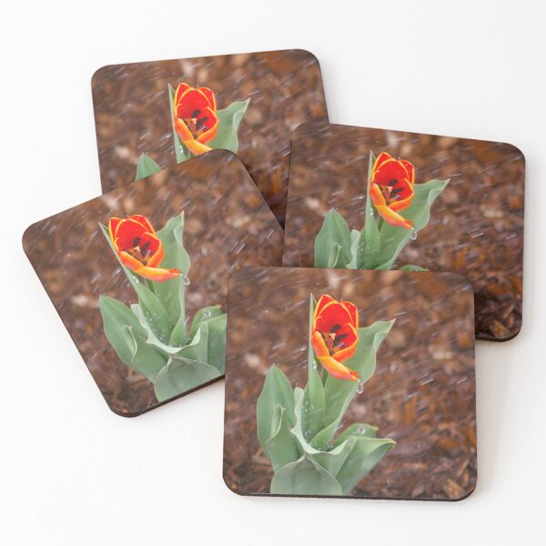 Item preview, Orange Tulip designed and sold by KoalaTeaPhotogr.