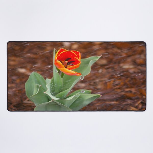 Item preview, Orange Tulip designed and sold by KoalaTeaPhotogr.