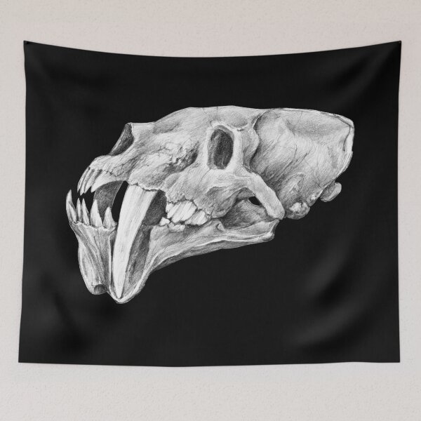 Item preview, Barbourofelis sabertooth skull drawing | Graphite pencil art designed and sold by Tatiana Yamshanova.