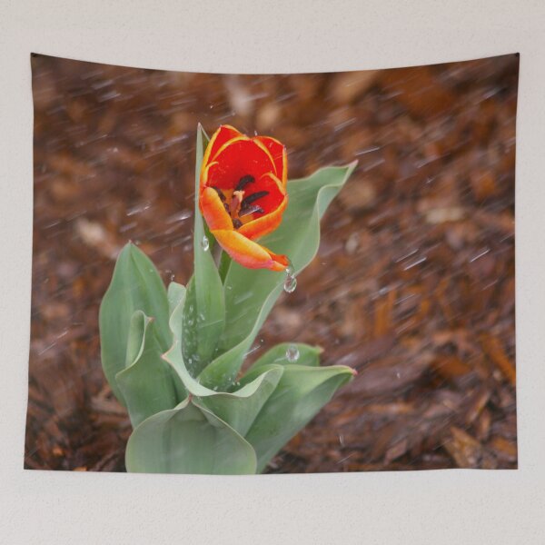 Item preview, Orange Tulip designed and sold by KoalaTeaPhotogr.