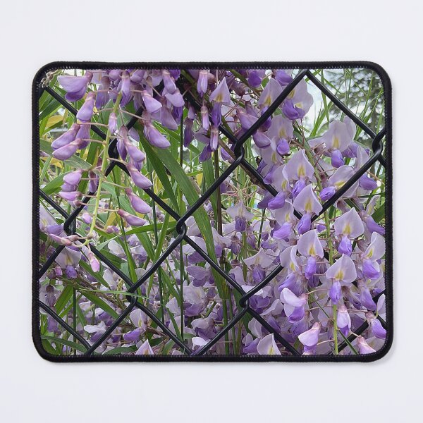 Item preview, Wisteria Hysteria designed and sold by Chriscolibaba.