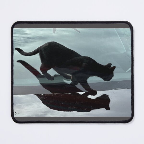 Item preview, Black cat on black car designed and sold by AHELENE.