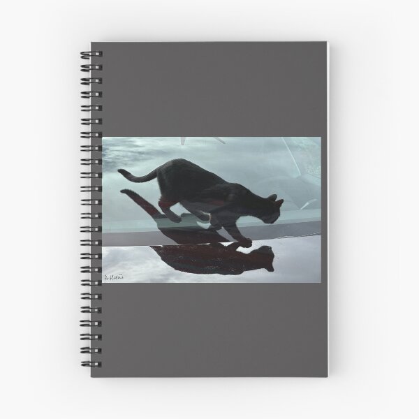 Item preview, Black cat on black car designed and sold by AHELENE.