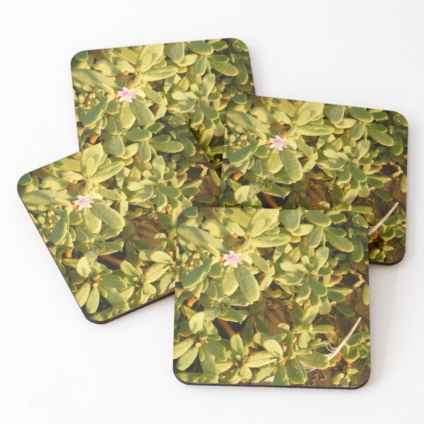 Item preview, Beach Bush with Pink Flower designed and sold by KaleChub.
