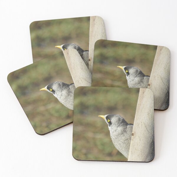 Item preview, Noisy miner on a tree trunk designed and sold by greentiger1.