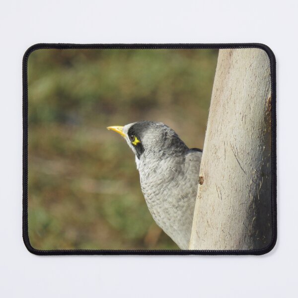 Item preview, Noisy miner on a tree trunk designed and sold by greentiger1.