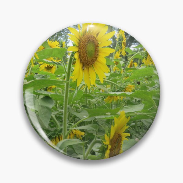 Item preview, Golden Sunflowers in Full Bloom designed and sold by TopRBArtist.