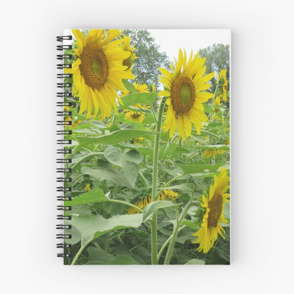 Item preview, Golden Sunflowers in Full Bloom designed and sold by TopRBArtist.